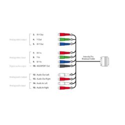 Blackmagic Breakout Cable Intensity Pro