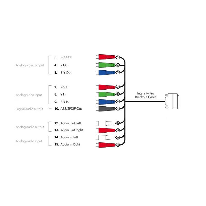 Blackmagic Breakout Cable Intensity Pro